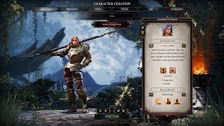 Divinity Original Sin 2  InDepth Look At Character Creation [upl. by Cardie]