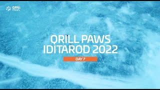 Iditarod Highlights  DAY 7  QRILLPAWS 2022 [upl. by Anrahs106]