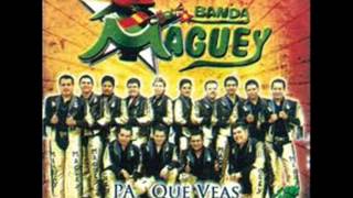 banda maguey dos gotas de agua [upl. by Danczyk]