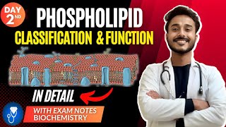 phospholipids biochemistry  glycerophospholipid biochemistry  sphingomyelin biochemistry [upl. by Danialah]