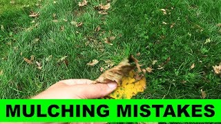 Number one mistake with leaf mulching [upl. by Nalla764]