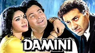 Damini  Sunny Deol And Meenakshi Seshadri  Full Movie Facts And Story [upl. by Ki485]