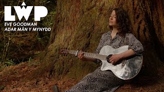 Eve Goodman  Adar Mân Y Mynydd [upl. by Cypro]