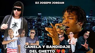 PLENA 🔥CANELA Y BANDIDAJE DEL GHETTO MIX ❌ DJ JOSEPH JORDAN LaTakillaMixes ❤ [upl. by Lilah]