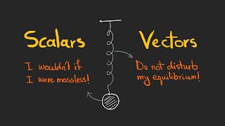 How to quantify our world Scalars and Vectors  4 examples in physical laws [upl. by Cirderf]