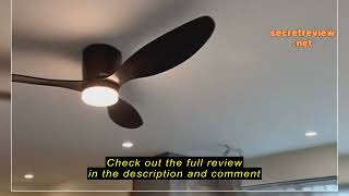 Review AIRERSINGAPORE Standard Ceiling Fan with LED 42quot 52quot [upl. by Kusin]