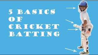 Cricket batting basics  5 basics of cricket batting for beginners  cricket coaching for kids [upl. by Nuaj62]