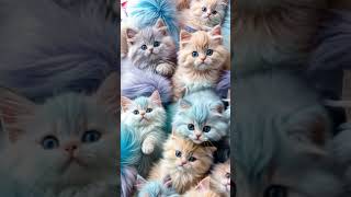 Cuties cat cute love catlover youtubeshorts baby ai [upl. by Anirdnajela]