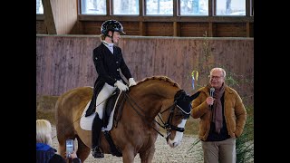 Dressurstall Sandbrink Verleihung des Goldenen Reitabzeichen in MeinersenPäse [upl. by Rugen573]