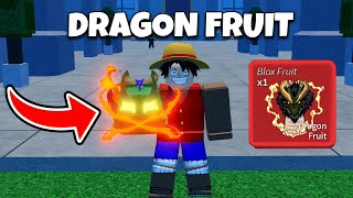 Blox Fruits FULL Reworked Dragon Fruit Showcase  Fan Made [upl. by Anilehs]