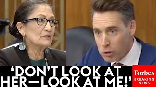 So Youre Not In Charge Josh Hawley Goes Absolutely Nuclear On Deb Haaland Over Corruption [upl. by Johm282]