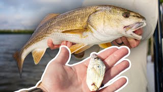 The Easiest Way to Catch LOTS of Redfish Fishing with Cut Bait [upl. by Nwahsear]