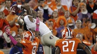 Kelvin Benjamin Highlights 2013  FSU WR [upl. by Montgomery]