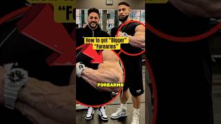 How to get bigger forearms forearms forearmsworkout ramondino [upl. by Lledroc]