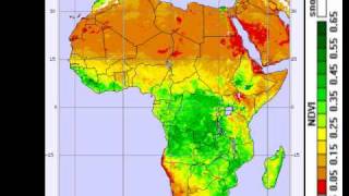 Vegetation in Africa [upl. by Krispin978]