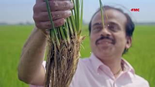 FMC Ferterra® in Paddy TVC  Hindi [upl. by Asiel]