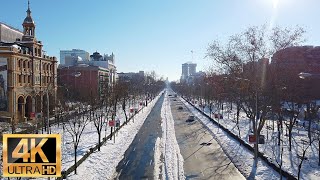 WALK NEVADA CALLE SERRANO LA CASTELLANA  MADRID  ESPAÑA🇪🇸 FILOMENA DIA 5 [upl. by Dudden]