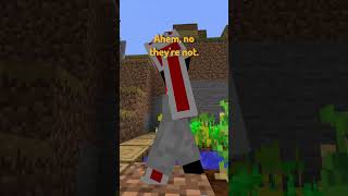 POV Youre a Village Block in Minecraft [upl. by Crissie]