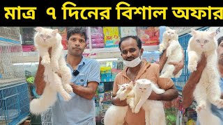 বিশাল অফার মাত্র ৭ দিনের জন্য  Persian cat price in Bangladesh  Cat price in Bangladesh [upl. by Atterys]