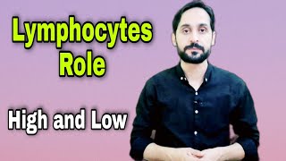 What is Lymphocyte  Role of Lymphocytes [upl. by Iahs]