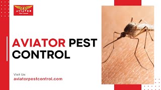 Aviator Pest Control  Ressidential And Commercail Pest Control Houston TX  FleasTicks Control [upl. by Retnyw]