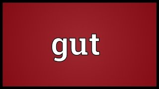 Gut Meaning [upl. by Jeni]