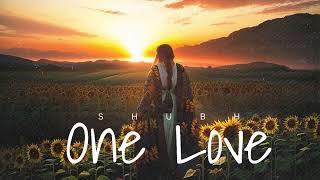 Shubh  One Love Official Music Video [upl. by Alihet629]