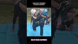 SILAT RASA HAPKIDO ‼️✅ silat hapkido pencaksilat [upl. by Umberto212]