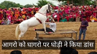 आगरो को घागरो पर घोड़ी ने किया डांस  घोड़ी का डांस  horse dance video horse dance camel djsong [upl. by Enived344]