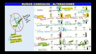 SEMIOLOGÍA CARDÍACA Parte 2 [upl. by Tteirrah]