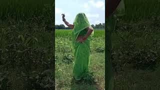 Balam se nata total Hamar hamari Amma Hodance bhojpuri vairalvideo birha song [upl. by Goodspeed]