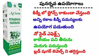 బెనిఫిట్స్ అఫ్ పునర్నవ  Benefits of Punarnava in Telugu [upl. by Nylrebmik]