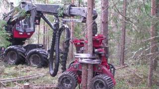 SP 451 LF with multi tree epuipment on Valmet 9013 [upl. by Weatherby173]