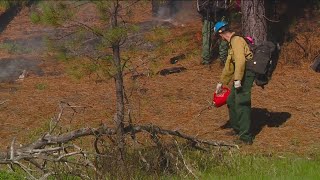 Fall prescribed fire plans announced for Boise National Forest [upl. by Einegue]