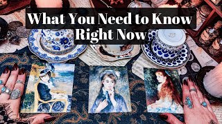 What You Need to Know Right Now  Coffee amp Tarot Pick a Card [upl. by Onimixam700]