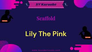 Scaffold  Lily The Pink  Karaoke [upl. by Margaretha805]