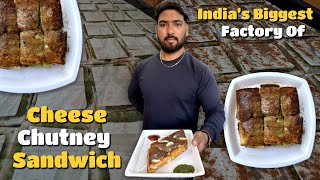 India’s Biggest Factory Of Cheese Chutney Sandwich😱  Indian Street Food [upl. by Verdi]