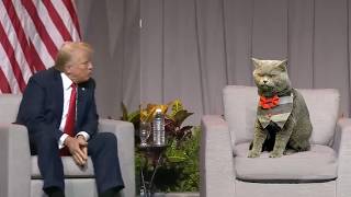 Cat Interviews Trump [upl. by Anivel768]