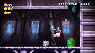 Frosted Glacier  Swaying Ghost House New Super Mario Bros Wii U [upl. by Rednav]