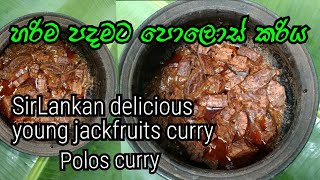 ✓හරිම පදමට පොලොස් කරියSrilankan delicious young jackfruits curry polos curry ndees foods [upl. by Cronin]