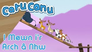 Caru Canu  I Mewn ir Arch Welsh Childrens Song [upl. by Genny]