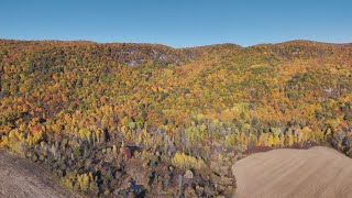 Fall Colours on the Eardly Escarpment in Quebec Canada [upl. by Cristionna]