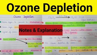 Ozone layer depletion  Depletion of ozone layer  Ozone hole  what is ozone depletion [upl. by Straus]