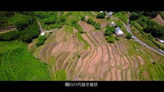 岡山県美作市上山の棚田空撮4k [upl. by Sparks252]