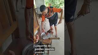 humor chegadesergado comedia vemrir memes vidadegado vidanaroça gadobravo nordeste tvgad [upl. by Vallie]