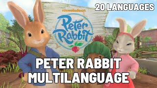 Peter Rabbit Theme Song Multilanguage 20 LANGUAGES UPDATED [upl. by Filberte621]