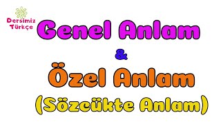 Genel ve Özel Anlamlı Sözcükler Sözcükte Anlam [upl. by Aiel]