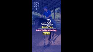 Intro to Neck Reining Part 2  The Horse GuruMichael Gascon [upl. by Jasik]