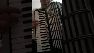 Otišlo je milo moje harmonika cover [upl. by Aztilem]