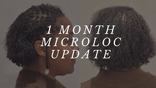 1 Month Microloc Update  Loc Count  Fine Low Density Hair [upl. by Avruch422]